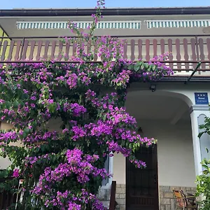 https://apartment-marija-selce.primorje-gorskikotar.com